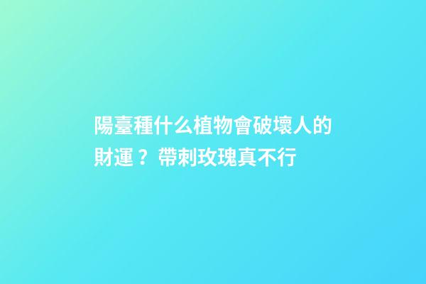 陽臺種什么植物會破壞人的財運？帶刺玫瑰真不行
